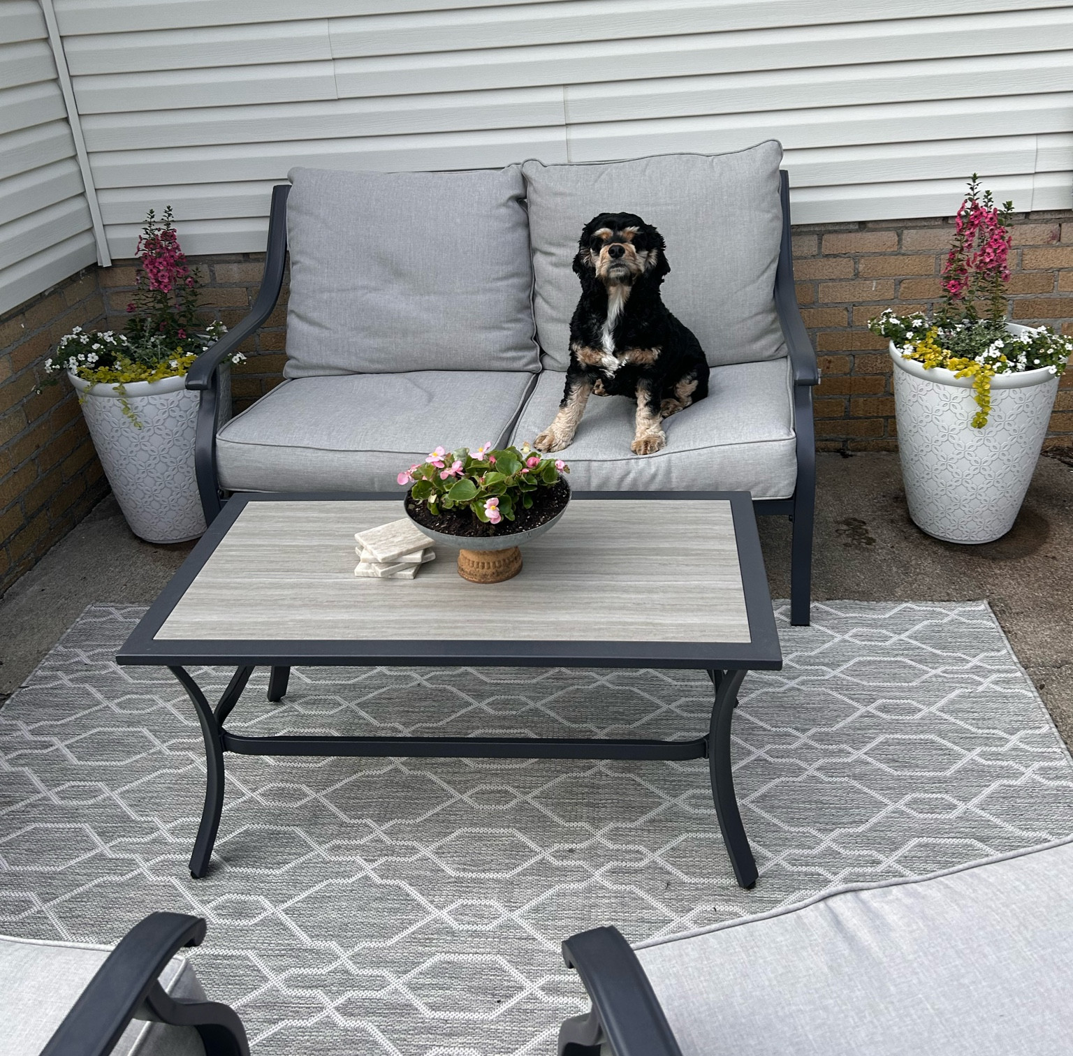 Patio refresh 🌸 
We are loving our planters and patio furniture from Lowe’s😍 the planters are only $24 and the rug is only $60! Under $100 rug and planters 
Patio furniture, patio ideas, planters, flowers, outdoor 

#LTKhome #LTKsalealert #LTKunder100