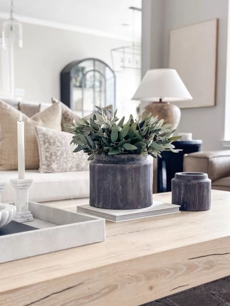 Coffee table decor idea with this viral Walmart planter! This black vase is the perfect touch for coffee table styling in a modern home! Love refreshing my living room decor for spring. 4/20

#LTKhome #LTKfindsunder50 #LTKstyletip