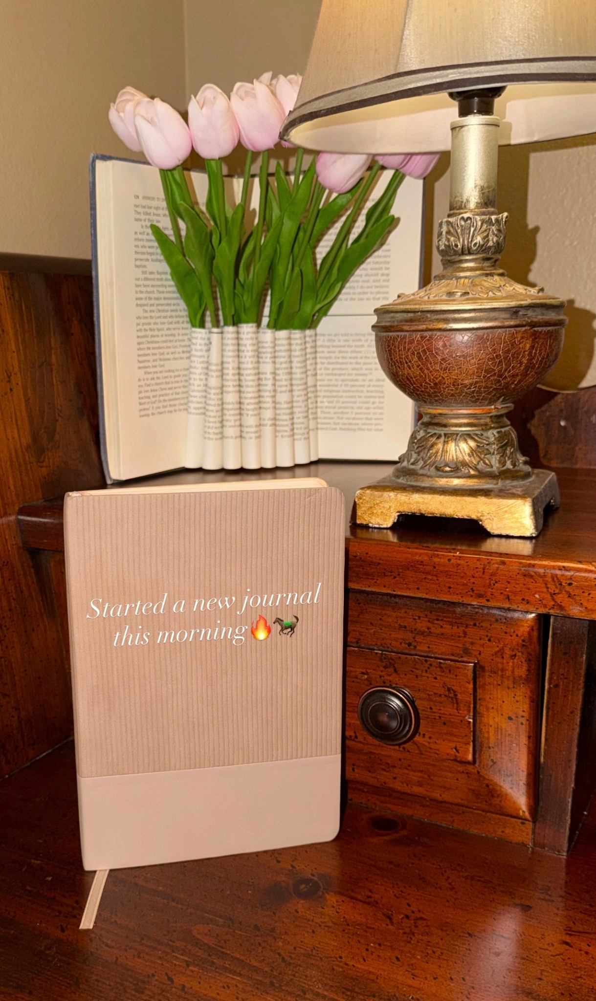 Jornal. Journaling. Writing journal. Morning pages. Morning routine. 

#LTKmorningroutine #LTKselfcare #LTKdayinmylife