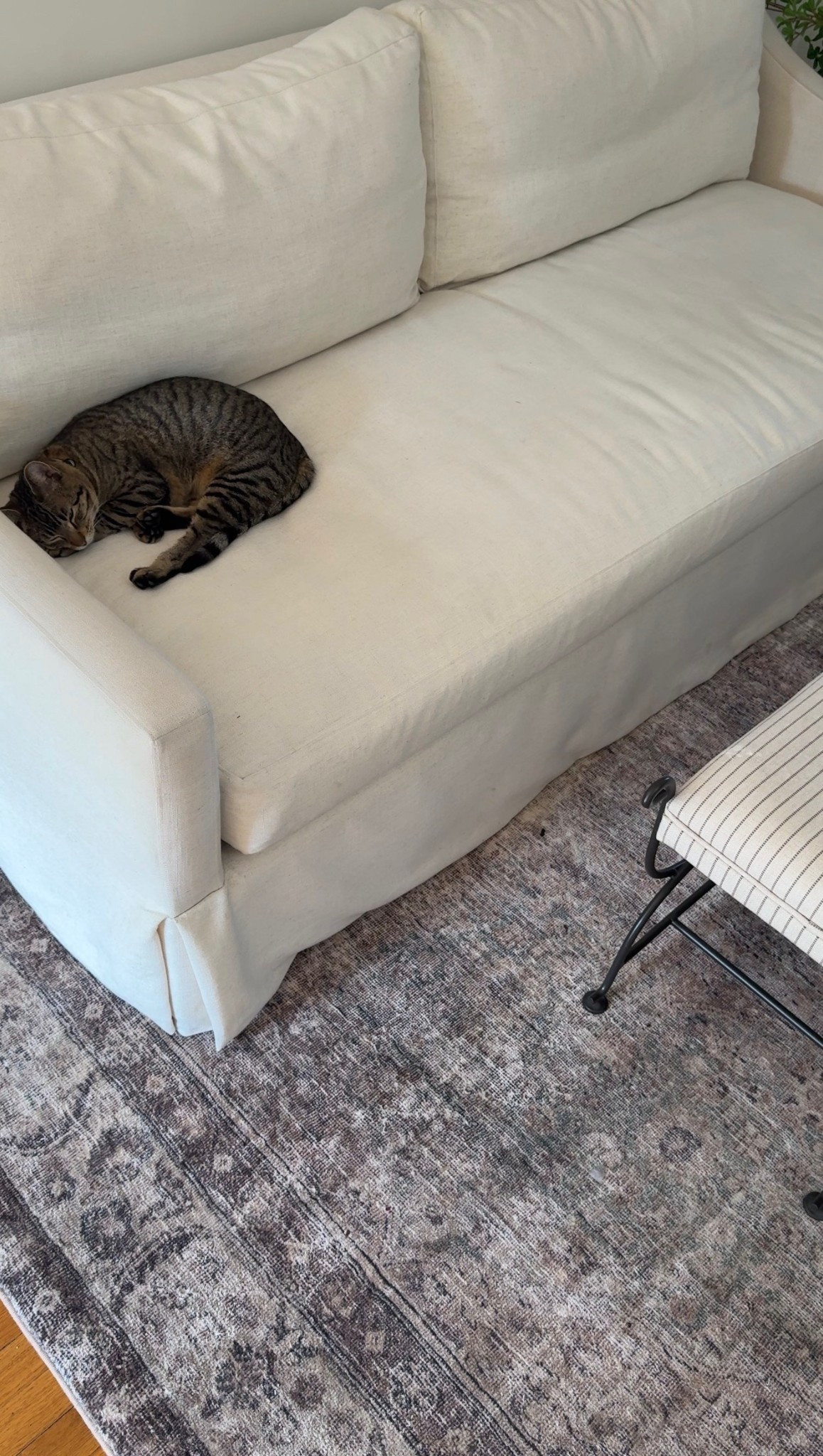 The best rug!

#LTKHome