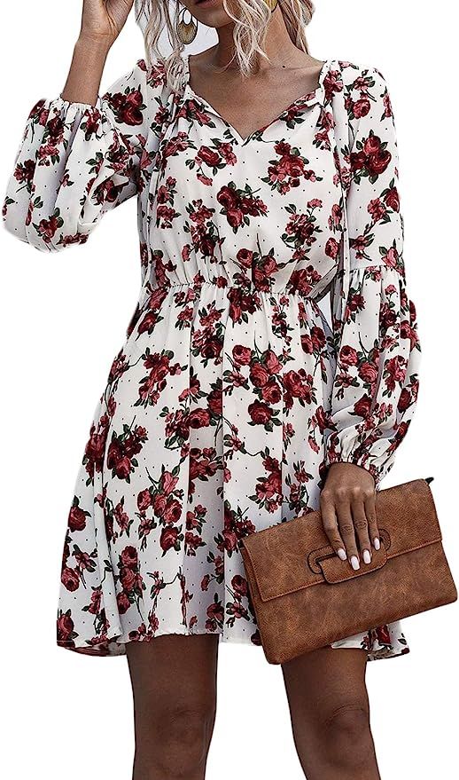 ROVLET Women's Floral Chiffon Dress Long Sleeve V Neck Ruffle A line Swing Boho Mini Dresses Part... | Amazon (US)