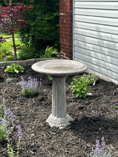 Concrete bird bath for the front yard!

#LTKhome