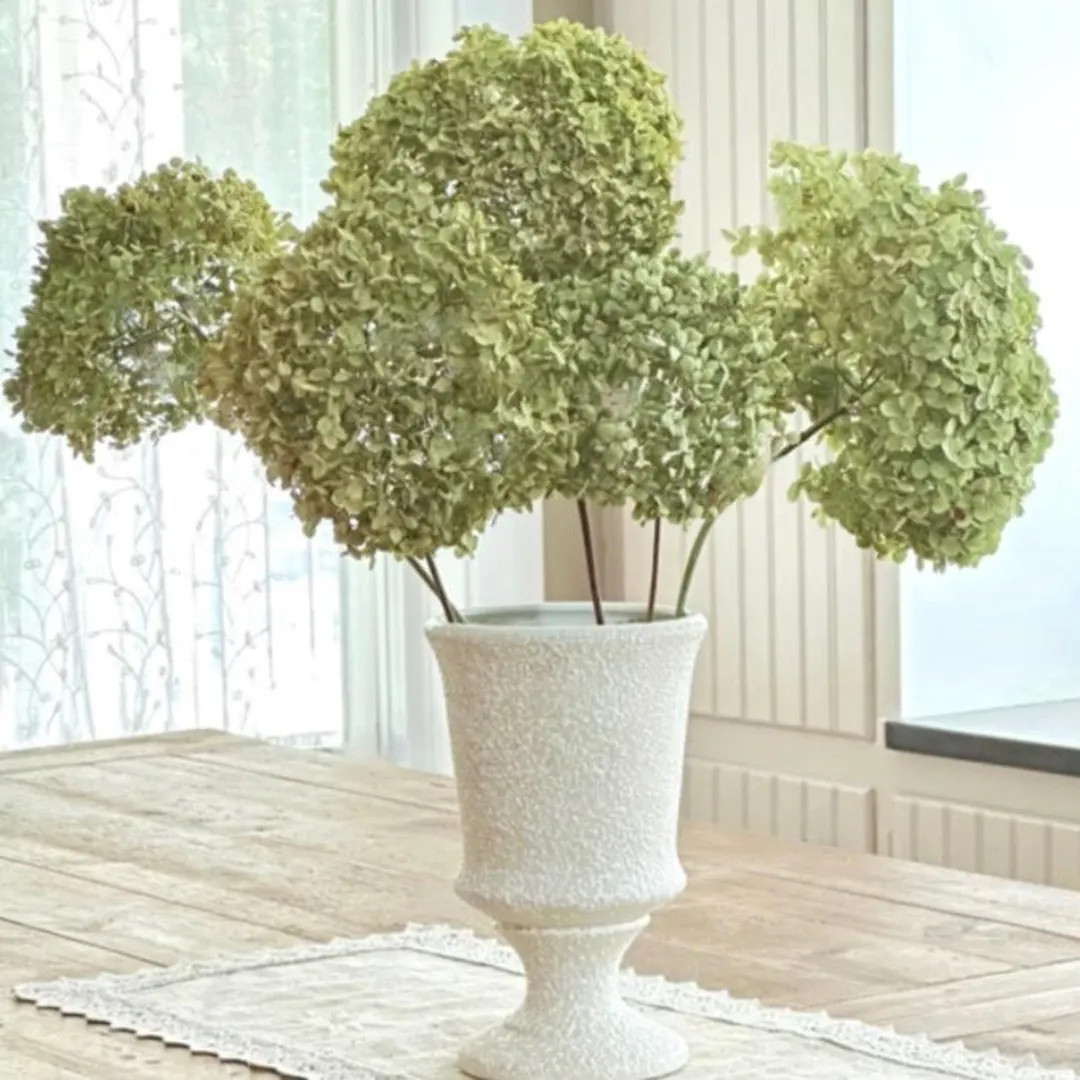 Real Dried Hydrangea Stems , Antique Green( Green / Pink) , Bunch of 5 Stems, Boho Bouquet , Craf... | Etsy (US)