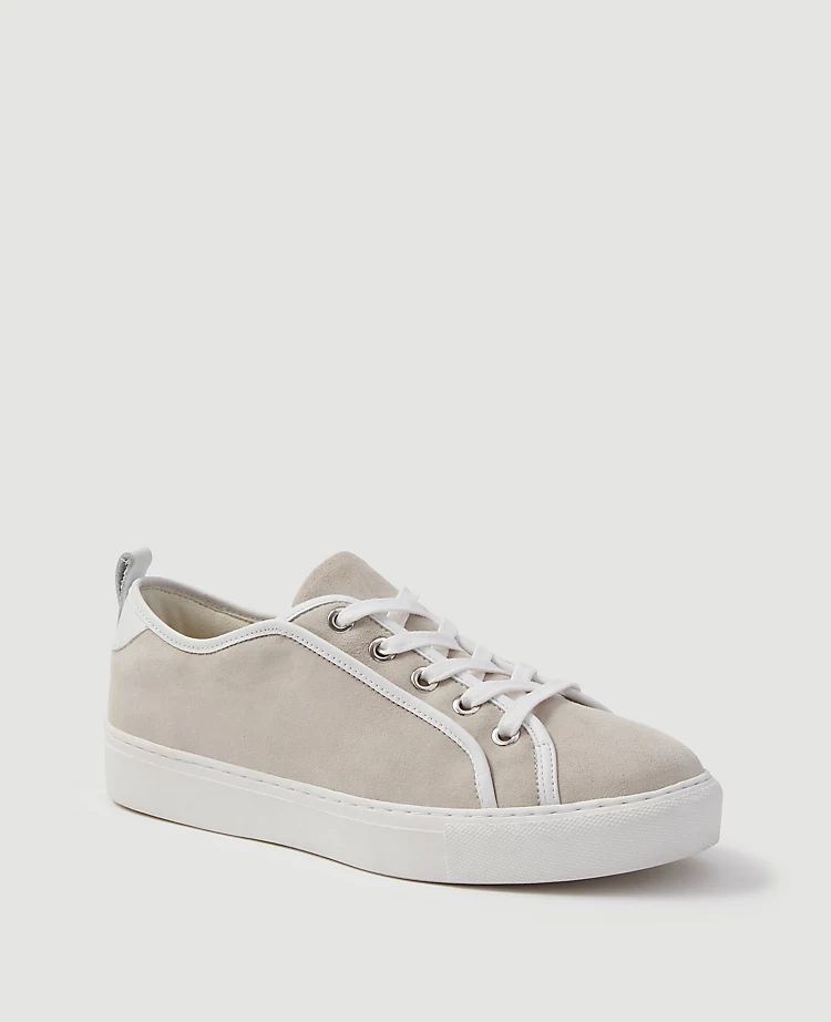 Natalia Suede Sneakers | Ann Taylor | Ann Taylor (US)