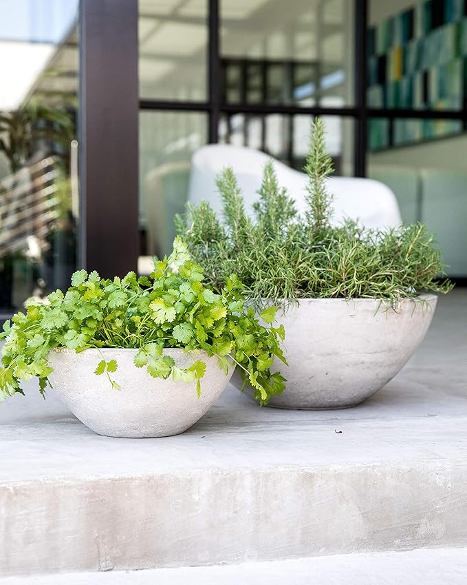 Gardenuity Resin Flower Pots and Garden Planters - Natural Concrete Stone Look, Indoor Plant Pots... | Amazon (US)