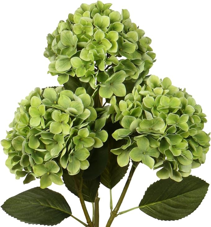 DILATATA Faux Hydrangea Large Artificial Green Hydrangea Flowers 26" Real Touch Hydrangea Flowers... | Amazon (US)