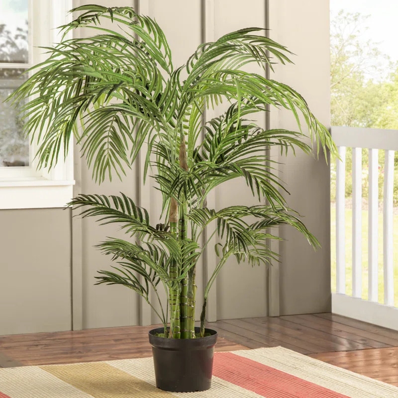 Sommer Areca Palm UV Resistant (Indoor/Outdoor) | Wayfair North America