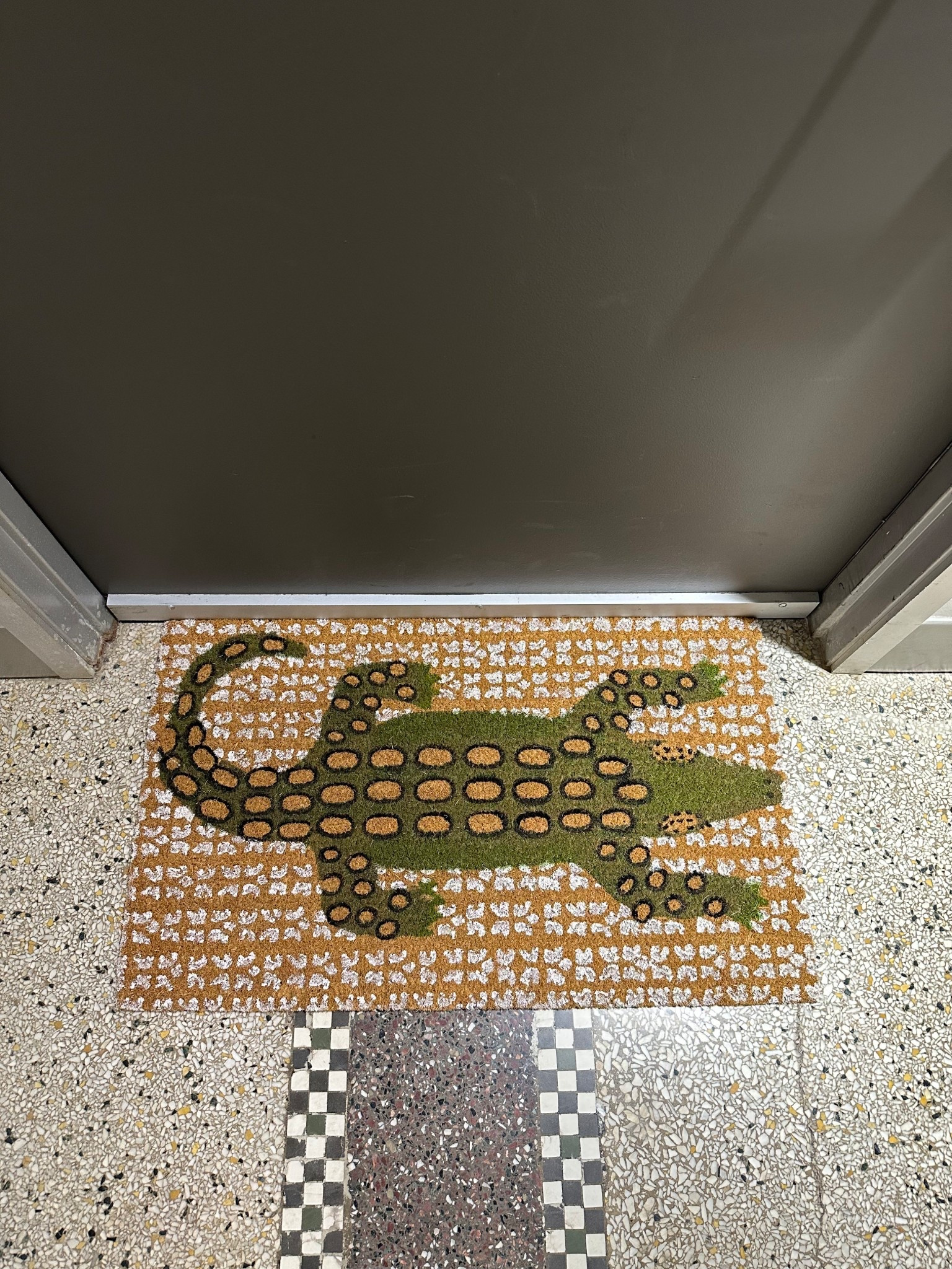 my new doormat from @Anthropologie 🐊💛

#LTKHome #LTKdayinmylife