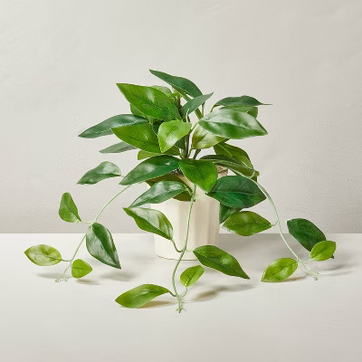 12" Faux Hoya Plant - Hearth & Hand™ with Magnolia | Target