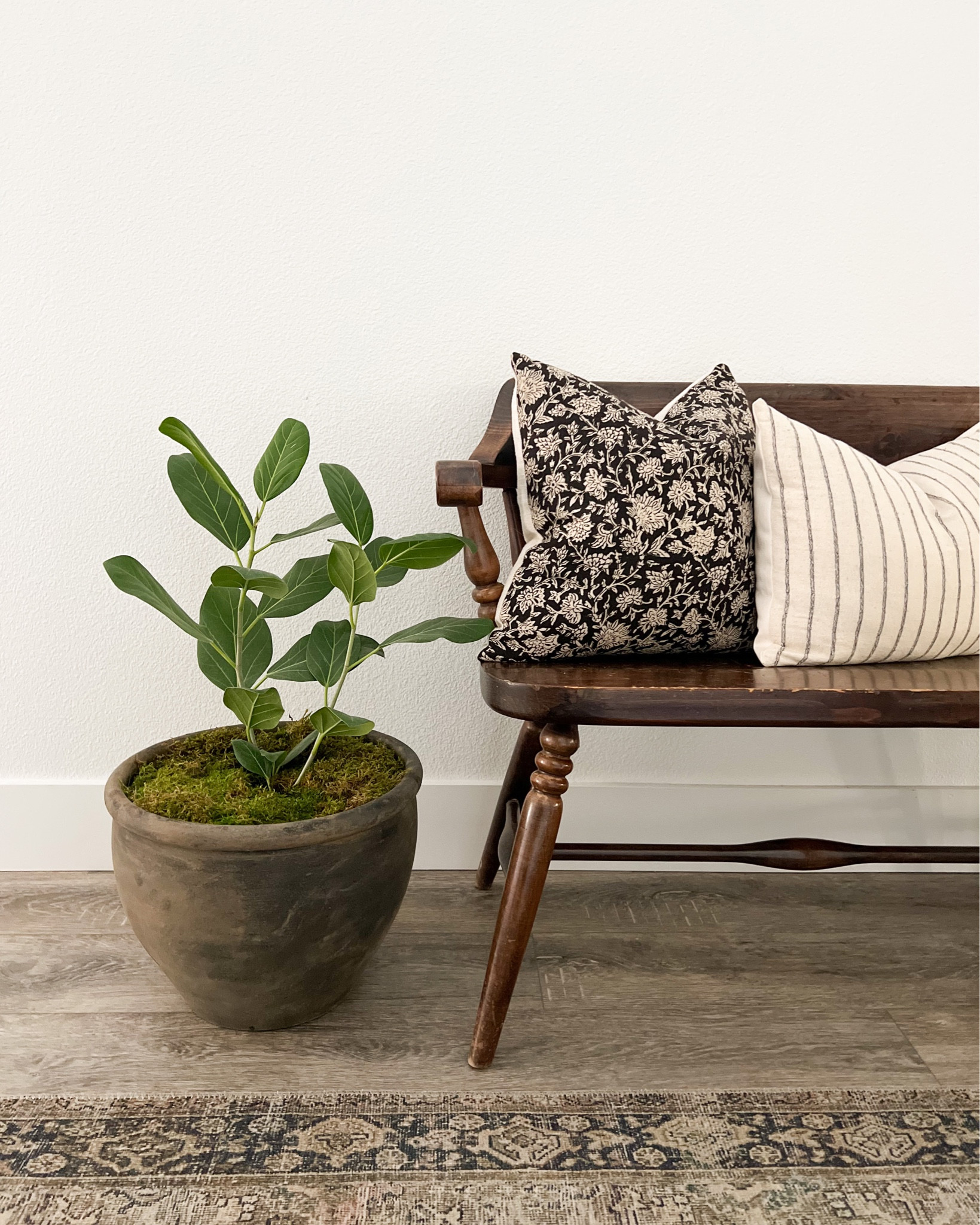 Entryway styling, throw pillows, rug, plants  

#LTKunder50 #LTKhome #LTKunder100