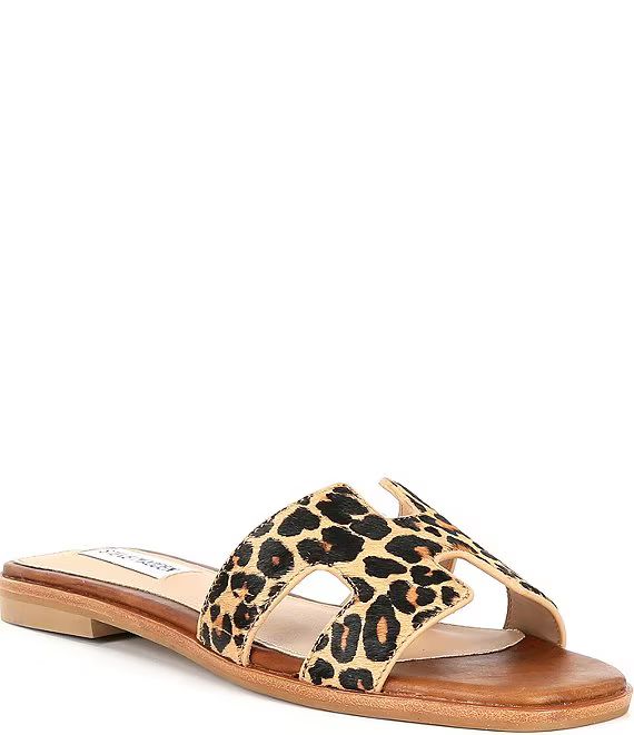 Steve Madden Hadyn-L Leopard Print Haircalf Flat Sandals | Dillard's | Dillard's