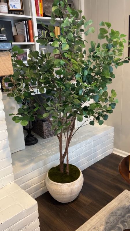 Faux ficus tree back in stock

Target style, home decor, home inspo, affordable style, faux plant, real touch tree 

#LTKVideo #LTKfamily #LTKhome