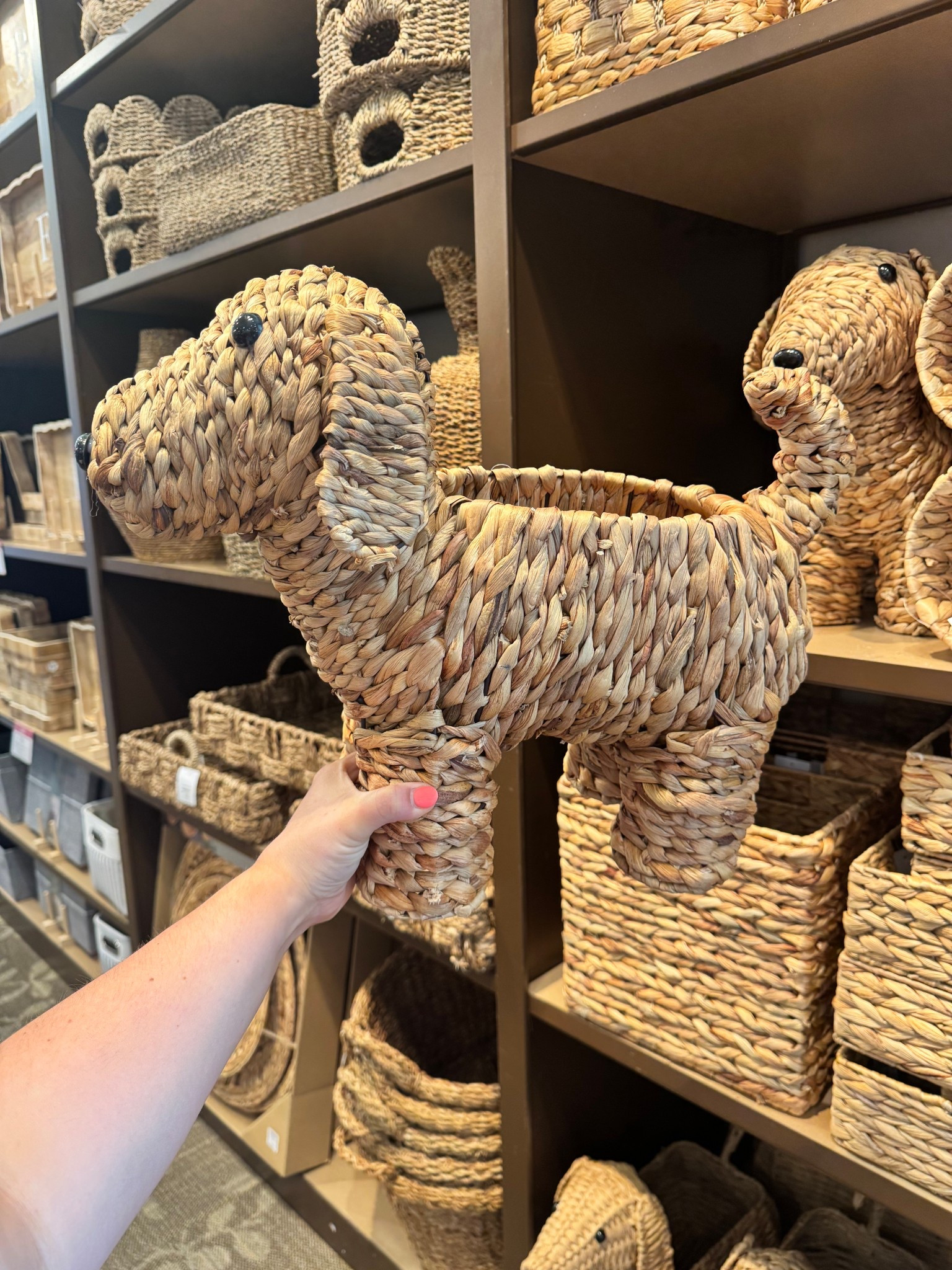 doggie + neutral lovers collide! Spotted this cutie over the weekend and it’s a must-have. 