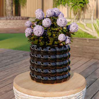 Origin 21 Round 7.625-in W x 7-in H Black Ceramic Indoor/Outdoor Planter | Lowe's