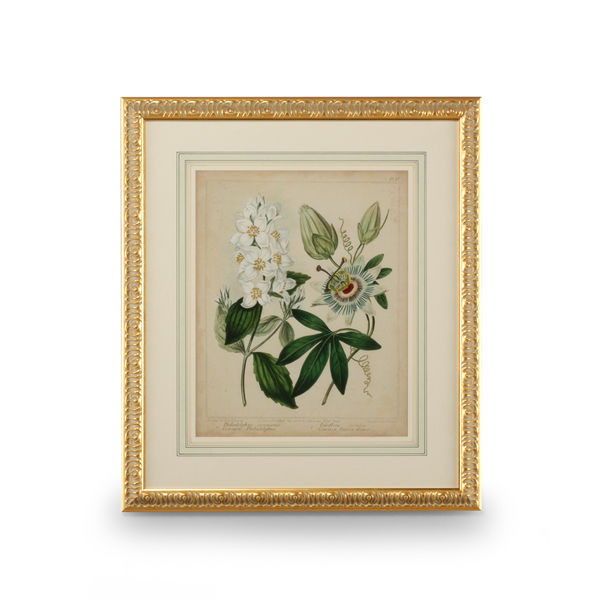 Cottage Florals Artwork II | Scout & Nimble