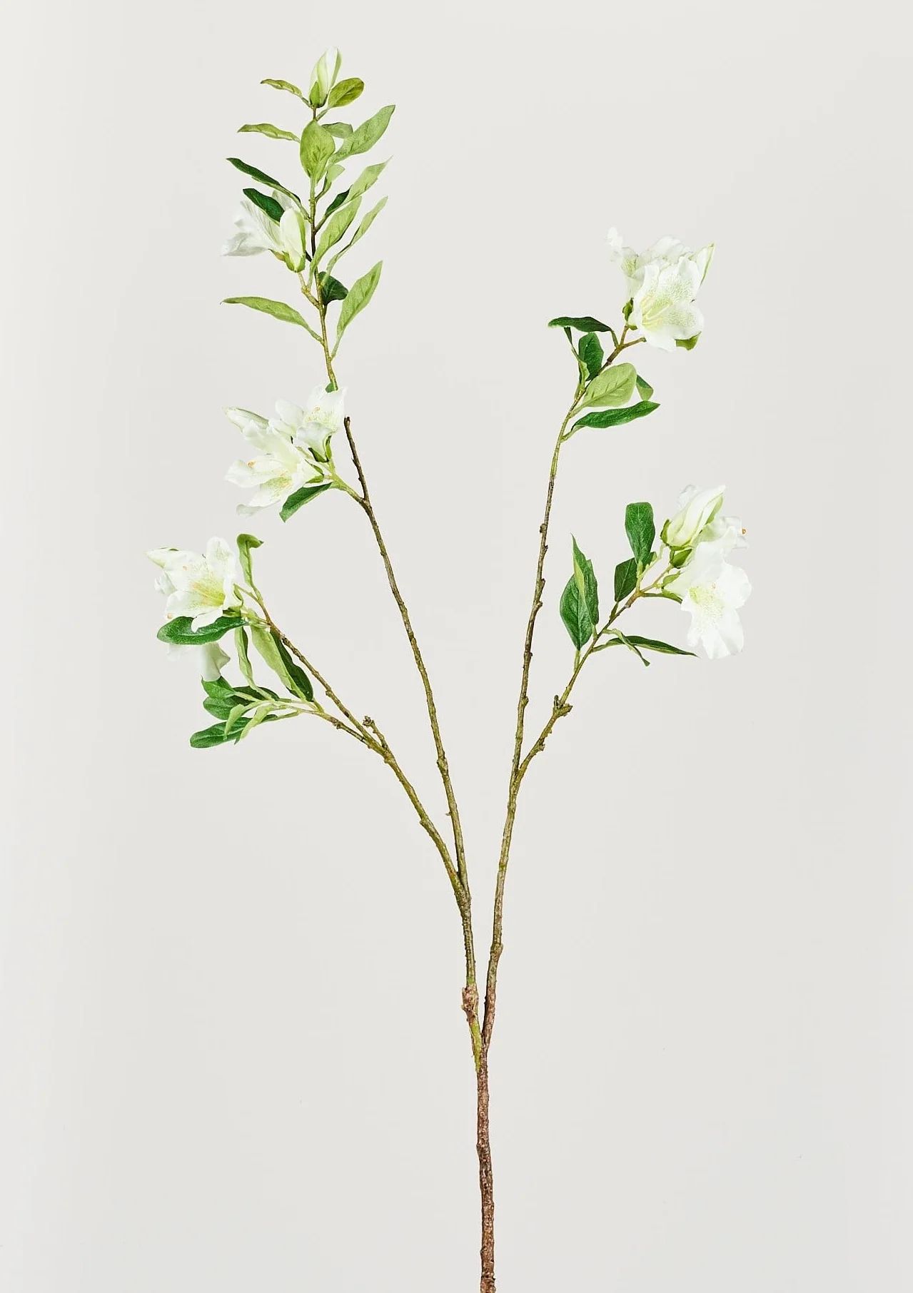 Cream Azalea Branch | Best Faux Flowers | Afloral.com | Afloral