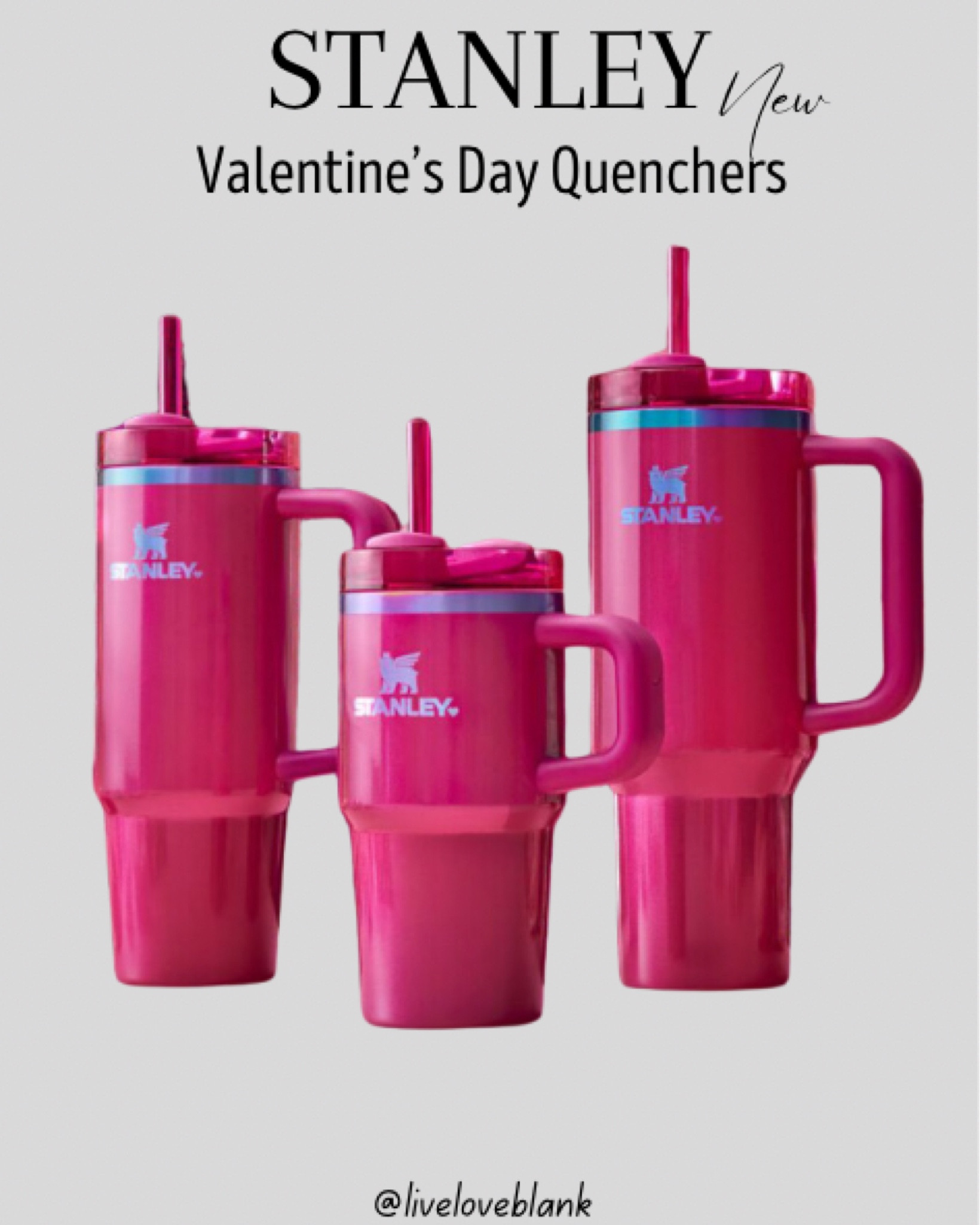 Stanley new release
Valentine’s Day quenchers 
Gift ideas for her 
Gift ideas for her 

#LTKSeasonal #LTKFindsUnder50 #LTKGiftGuide