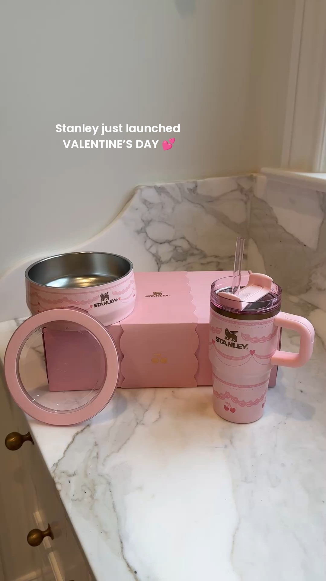 @stanley_brand just launched VALENTINE’S DAY 💕💕💕 meet “red velvet cake” and “pink velvet cake!” I love this 3-cup pet bowl with leak-resistant lid!

#stanleypartner 

#LTKHome #LTKTravel #LTKFindsUnder100
