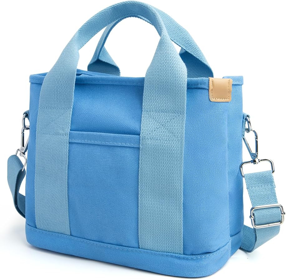 IwIeIaIrI Small Tote Bag for Women,Canvas Mini Tote Bags with Zipper and Multi Pockets,Kids,Girls... | Amazon (US)