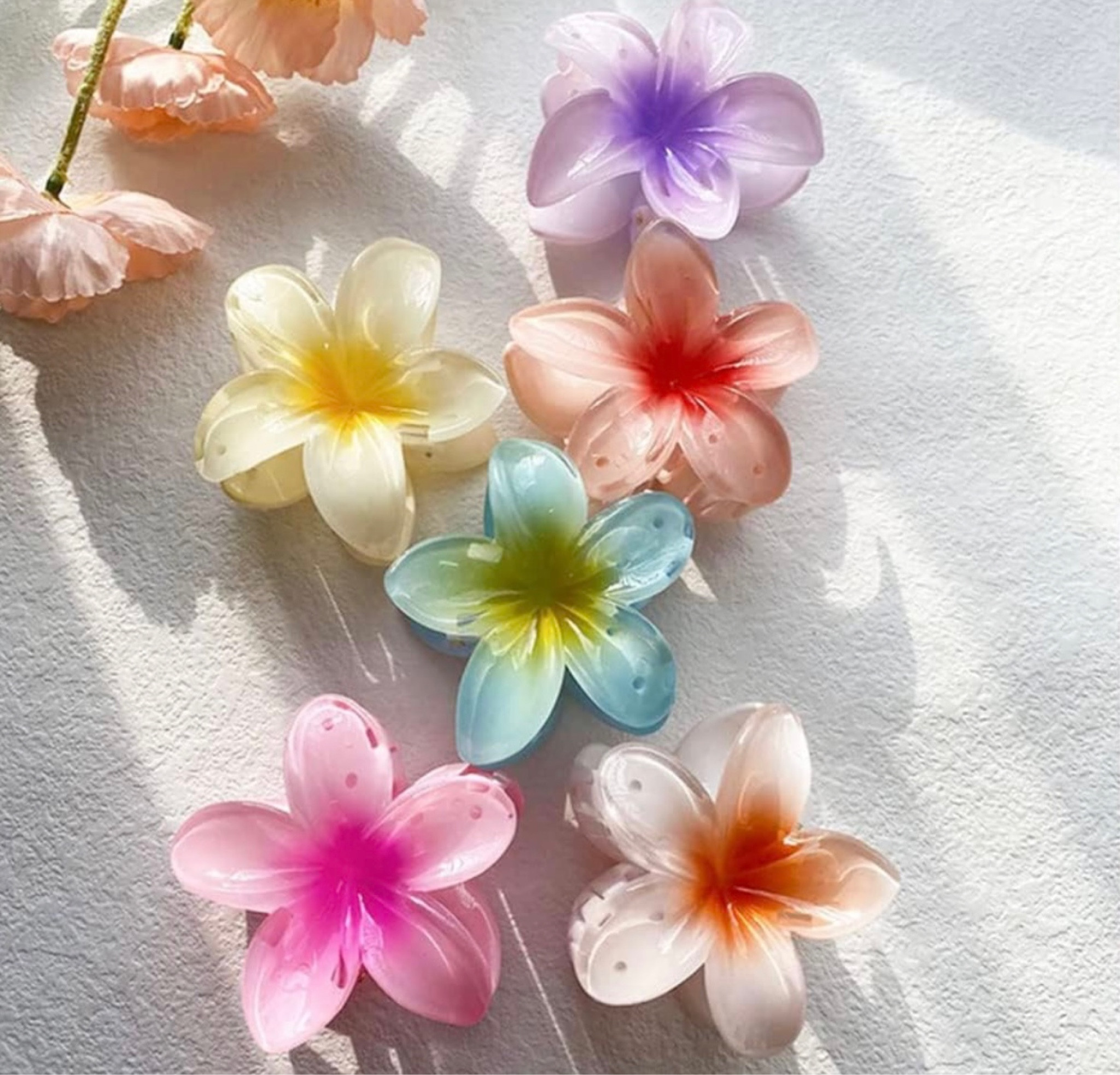Flower clips

#LTKstyletip #LTKbeauty #LTKfindsunder50