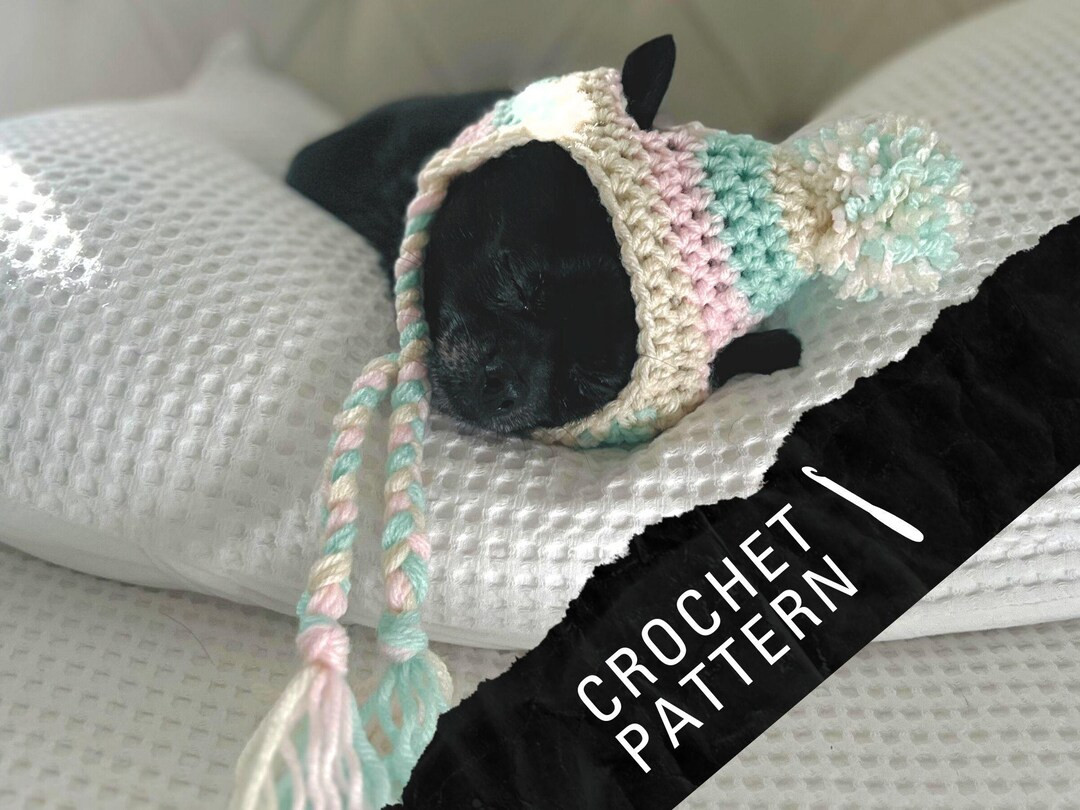 Gypsy Small Dog Pompom Hat Crochet PATTERN PDF Instant Download DIY Instructions Fall Pet Fashion... | Etsy (US)