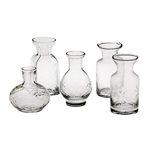 ART & ARTIFACT Mini Vases for Flowers - Small Glass Vases, Clear 5 Vase Set Single Bud Vases for Flowers, Room Decor - Clear | Amazon (US)