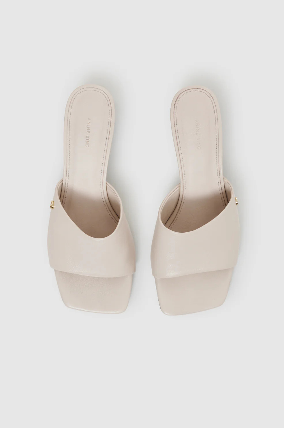 Jayden Mule Sandals | Anine Bing