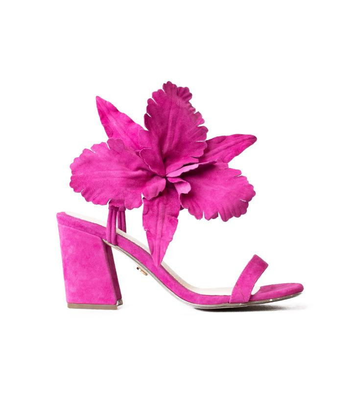 HIBISCUS | Cecelia New York