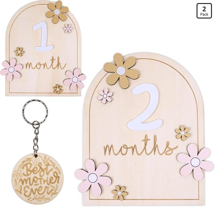 Baby Monthly Milestone Signs - Monthly Baby Milestone Signs for 1-12 Photos, Wooden Number Circle... | Amazon (US)