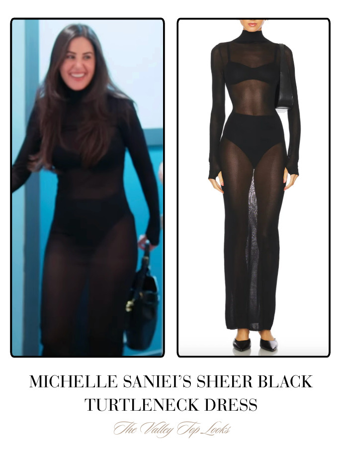 Michelle Saniei's Sheer Black Turtleneck Dress 

 
