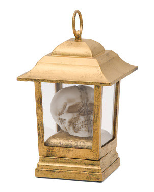 Led Skull In Lantern | TJ Maxx