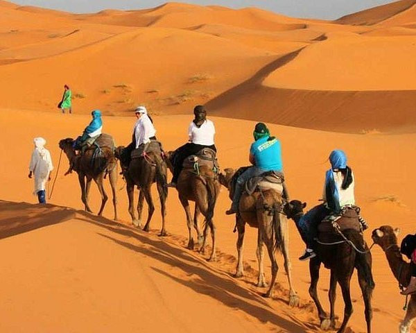 Tripadvisor: Over a billion reviews & contributions for Hotels, Attractions, Restaurants, and mor... | TripAdvisor US