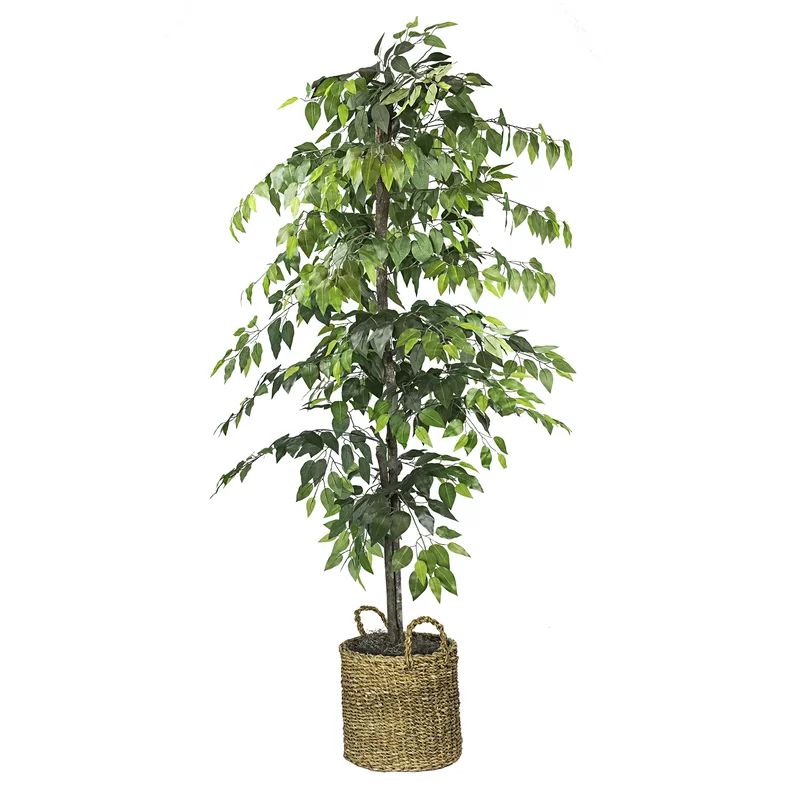 72" Artificial Ficus Tree in Basket | Wayfair North America