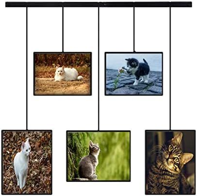 Hanging Display Frames, Picture Photo Frame for Wall Decor, Exhibit Picture Frame Gallery Set Adj... | Amazon (US)