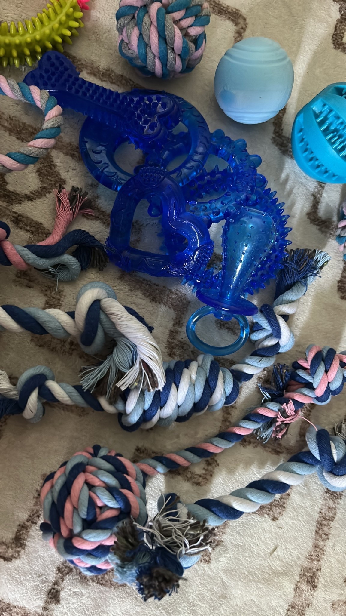 20 pack of chew toys!! 🐾 

Amazon Pet
Amazon Pet Finds
Amazon Puppy Favorites
Amazon New Puppy 
Amazon Puppy Finds
Amazon Finds
Amazon Pet
LTK Pet
LTK Pets 
LTK Puppies
Puppy Toys
Dog Toys
Amazon Dog Toys
Amazon Puppy Toys 
Amazon Find 
Amazon 
Amazon Prime 

#LTKPets