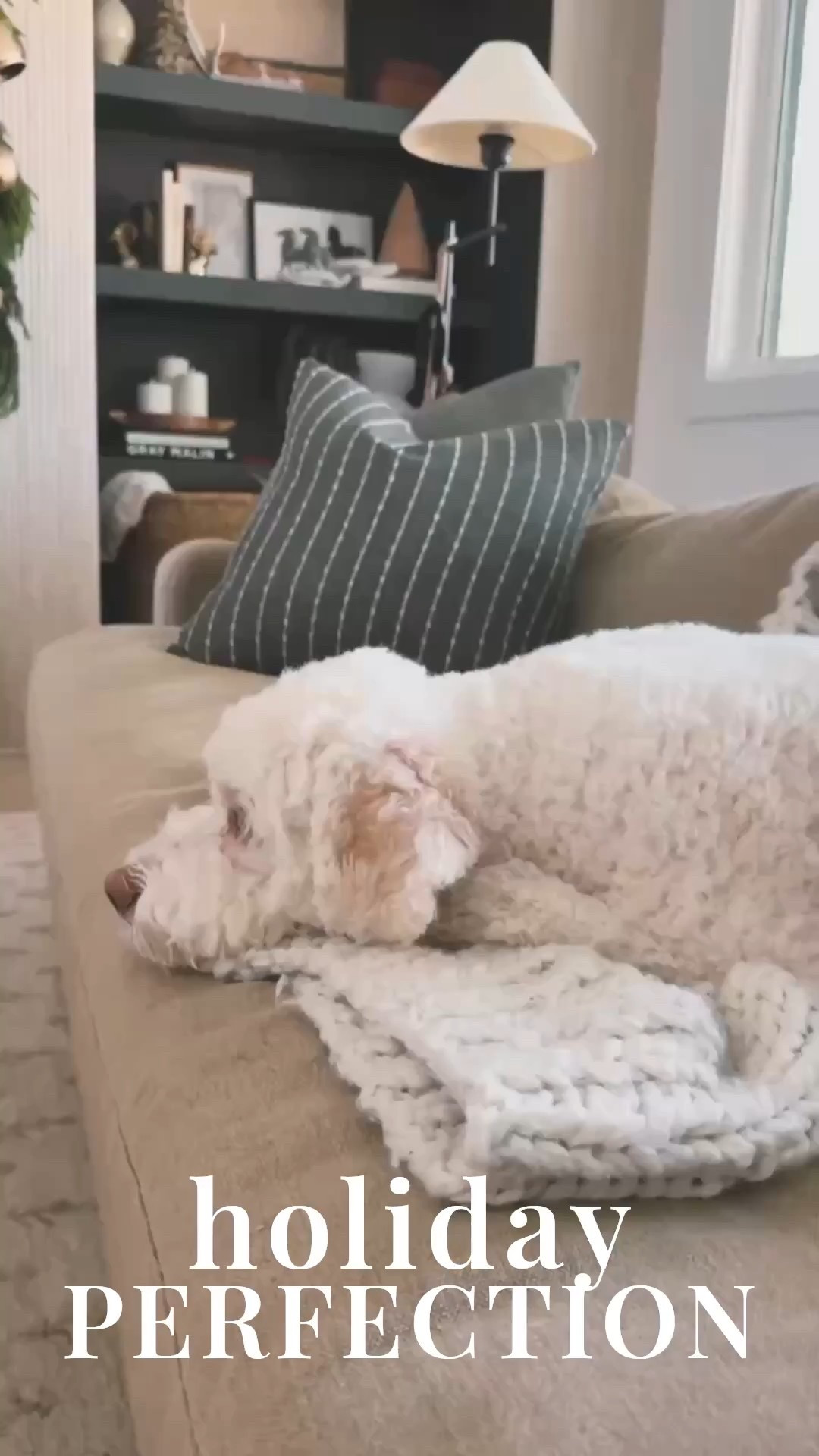 ✨ What if your holiday decor could feel elevated and effortless at the same time?
This Modern Classic living room blends lush greenery, brass bells, soft knit stockings, layered built-ins, warm candlelight, and a perfectly styled coffee table tray for that cozy-yet-sophisticated Christmas look everyone loves. Every detail creates a warm winter moment.

#porcheandco #modernclassicholidaydecor #neutralchristmasaesthetic #holidaymantelstyling #greeneryandbrassbells #coffeetablescape #winterlivingroomvibes #holidayhomeinspiration #minimalchristmasdesign #cozywinterstyle

Do you want to bring our dreamy Modern Classic style interior design into your own home? 🏡 You’re in luck! Reserve our Online Interior Design packages today -> https://porcheandco.com/edesign ✨ We can’t wait to work with you & design your home with #porcheandco



#LTKHoliday #LTKSeasonal #LTKHome