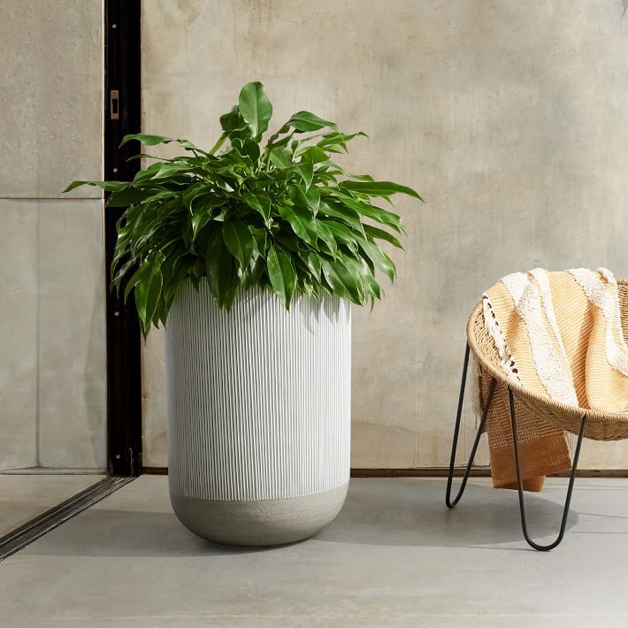 Textured Radius Ficonstone Indoor/Outdoor Planters | West Elm (US)