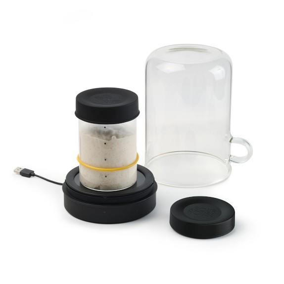 Goldie by Sourhouse™ | Williams-Sonoma