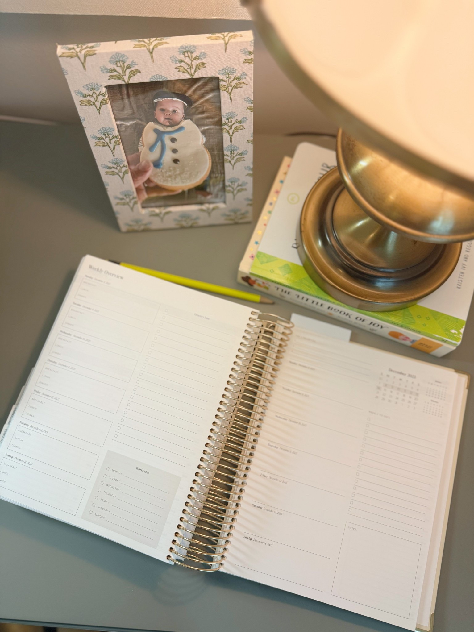 My favorite planner. It has everything a mom needs! ✨

#LTKHoliday #LTKdayinmylife #LTKmorningroutine