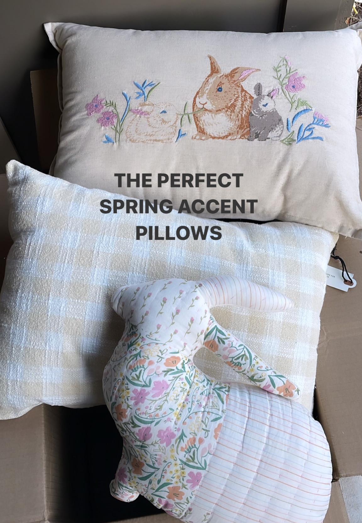 can you believe that each of these are only $10?!!! saw these online and IMMEDIATELY added to bag!!! snatch em up while you can, they’re going to add the perfect amount of spring pastel to my living room. cant wait to style em and post the finished lewk 🐥🌸🌳🤍 #targetfinds #targethome #springhomedecor #springhome #homedecor #decorpillows #springaccent pillows #accentpillows #springnoveltypillow #noveltyhomedecor #pastelhome #pastelhomedecor #pastelpillows #ltkunder10 #ltkunder20 #ltksale #ltkspring 

#LTKhome #LTKFind #LTKSeasonal #LTKsalealert