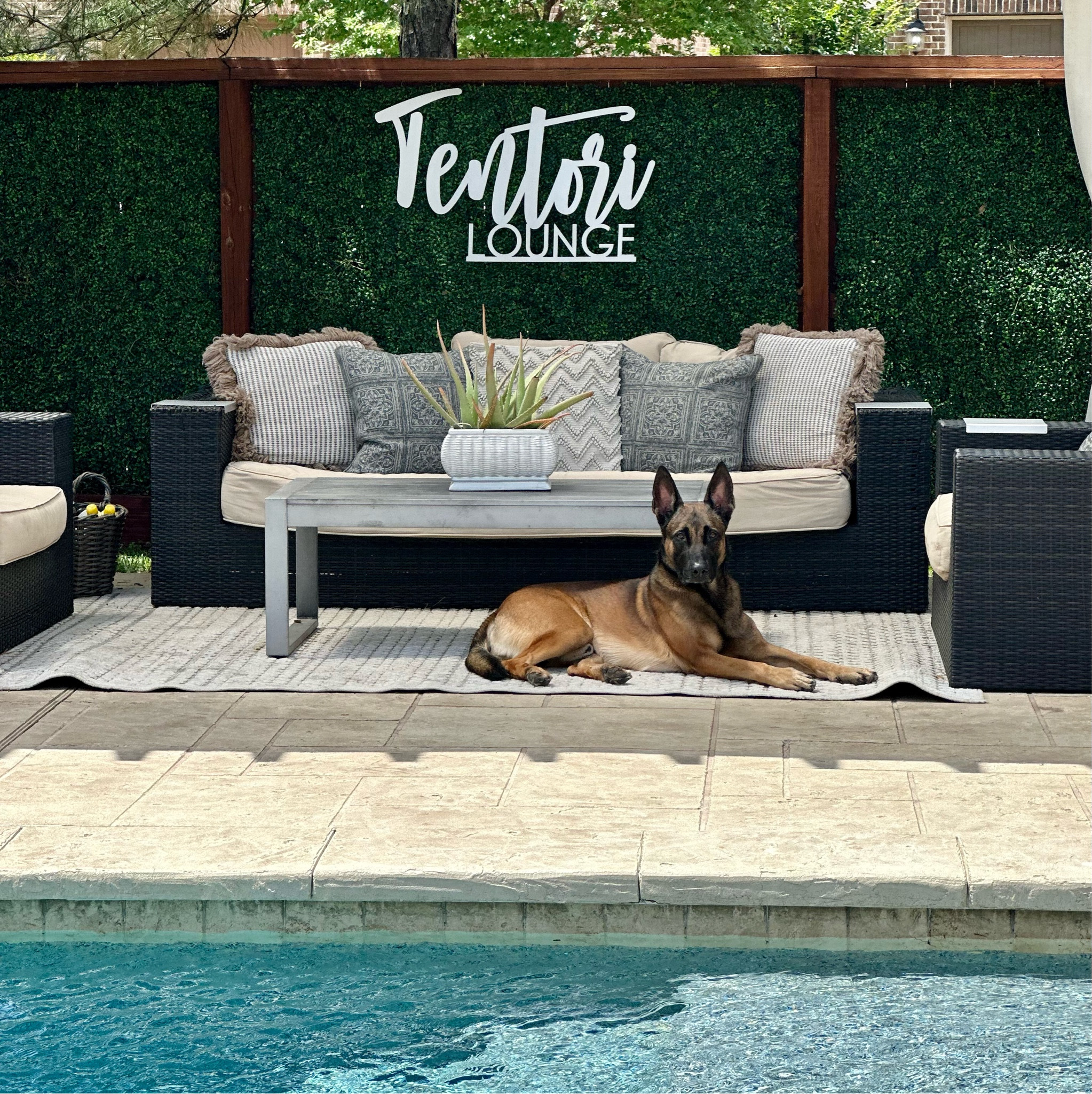 TENTORi Lounge 🐾

#LTKhome #LTKSeasonal