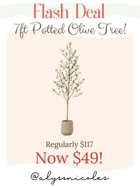 Faux potted olive tree now on flash sale for only $49!!! Largest size is 7 foot and smallest is 4 ft tall starting at just $24 on sale !! 🚨‼️

Organic modern decor 
Minimalist decor 
Walmart home 
Walmart sale 
Artificial tree 
Indoor plants 
Modern decor 
Livingroom decor 


#LTKfindsunder50 #LTKsalealert #LTKhome
