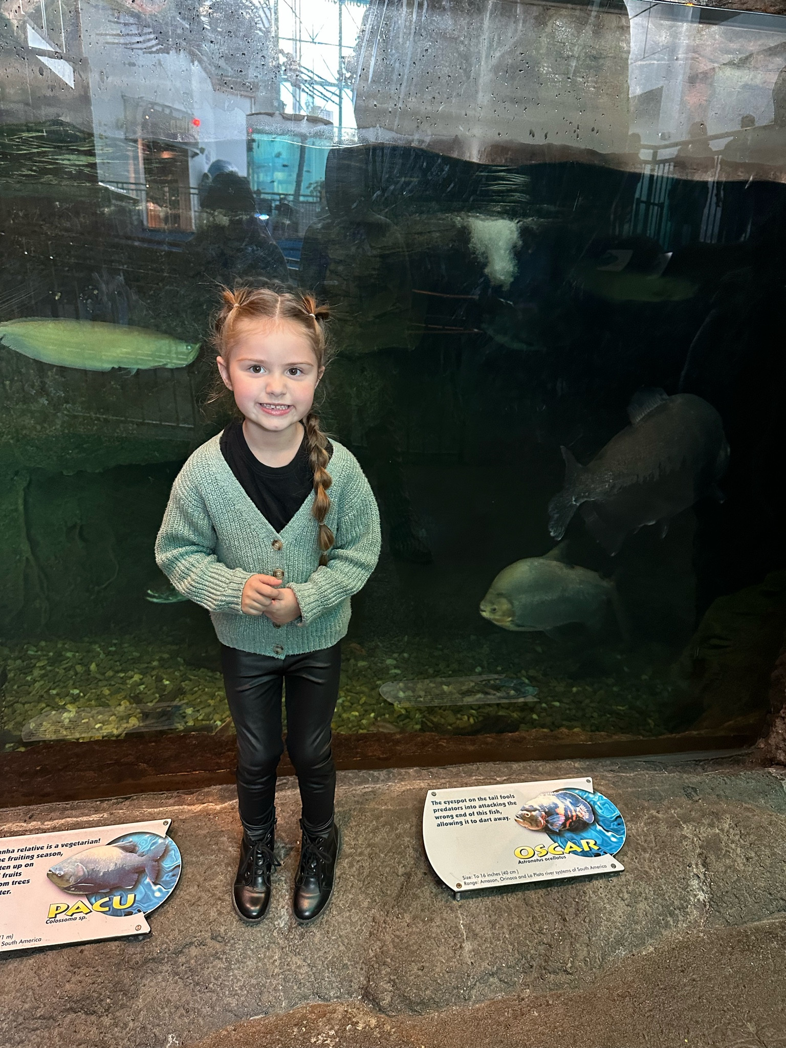 Fun at the aquarium 

#LTKfindsunder50 #LTKSeasonal #LTKsalealert