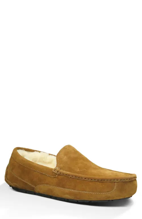 UGG(r) Ascot Slipper in Chestnut Suede at Nordstrom, Size 15 | Nordstrom