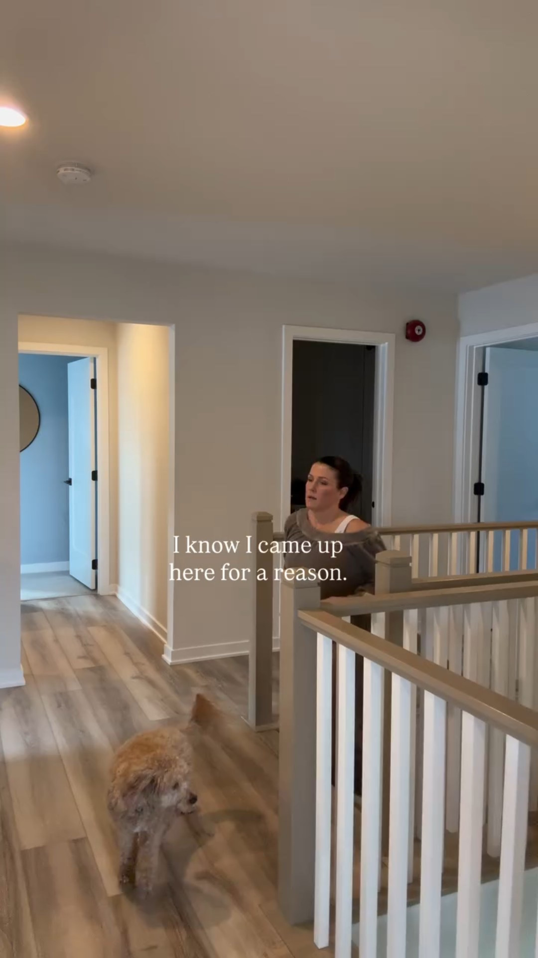 Midlife brain, checking in.

#midlifewomen
#relatablemoments
#womenover40life