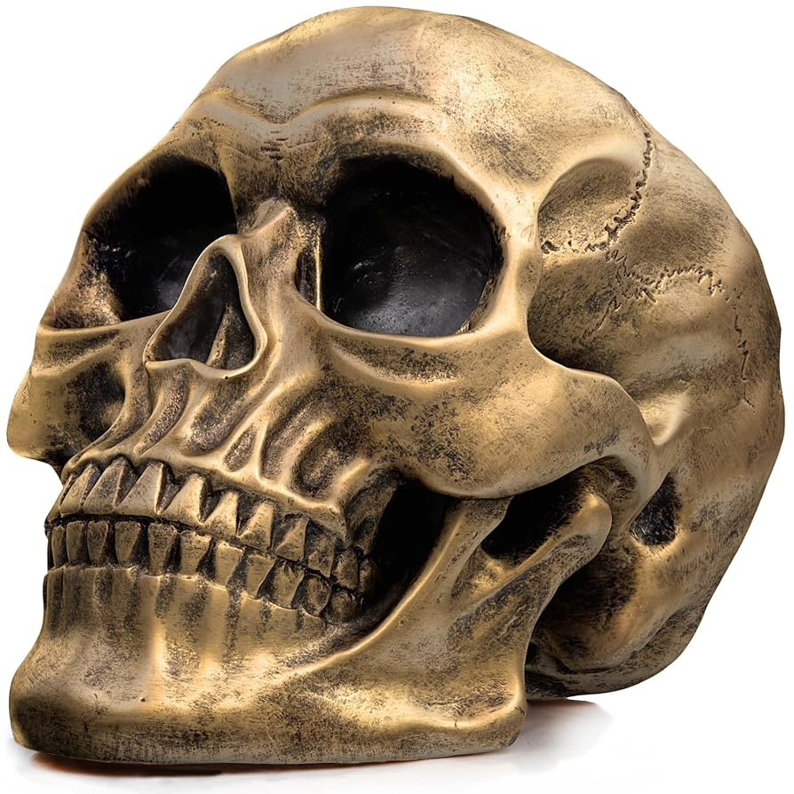 READAEER Resin Skull, Human Head Model for Home Decoration, Halloween Statue, Skull Model for Boo... | Amazon (US)