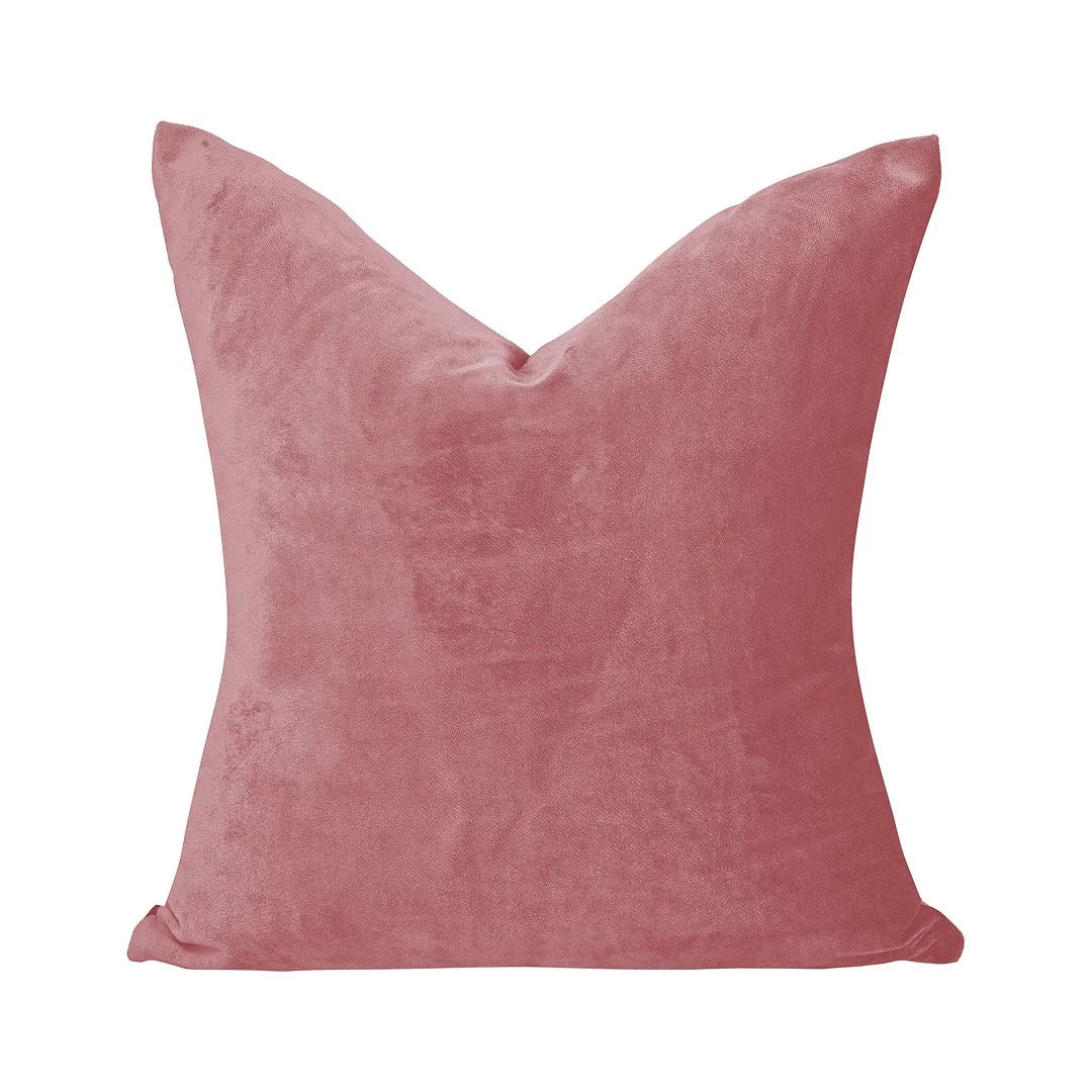 Matte Velvet Pillow Cover (Set of 2) | Wayfair North America