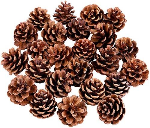 Cooraby 24 Pieces 3-4 cm Mini Christma Pine Cones Holiday Pinecones Xmas Natural Pine Cones Fall ... | Amazon (US)
