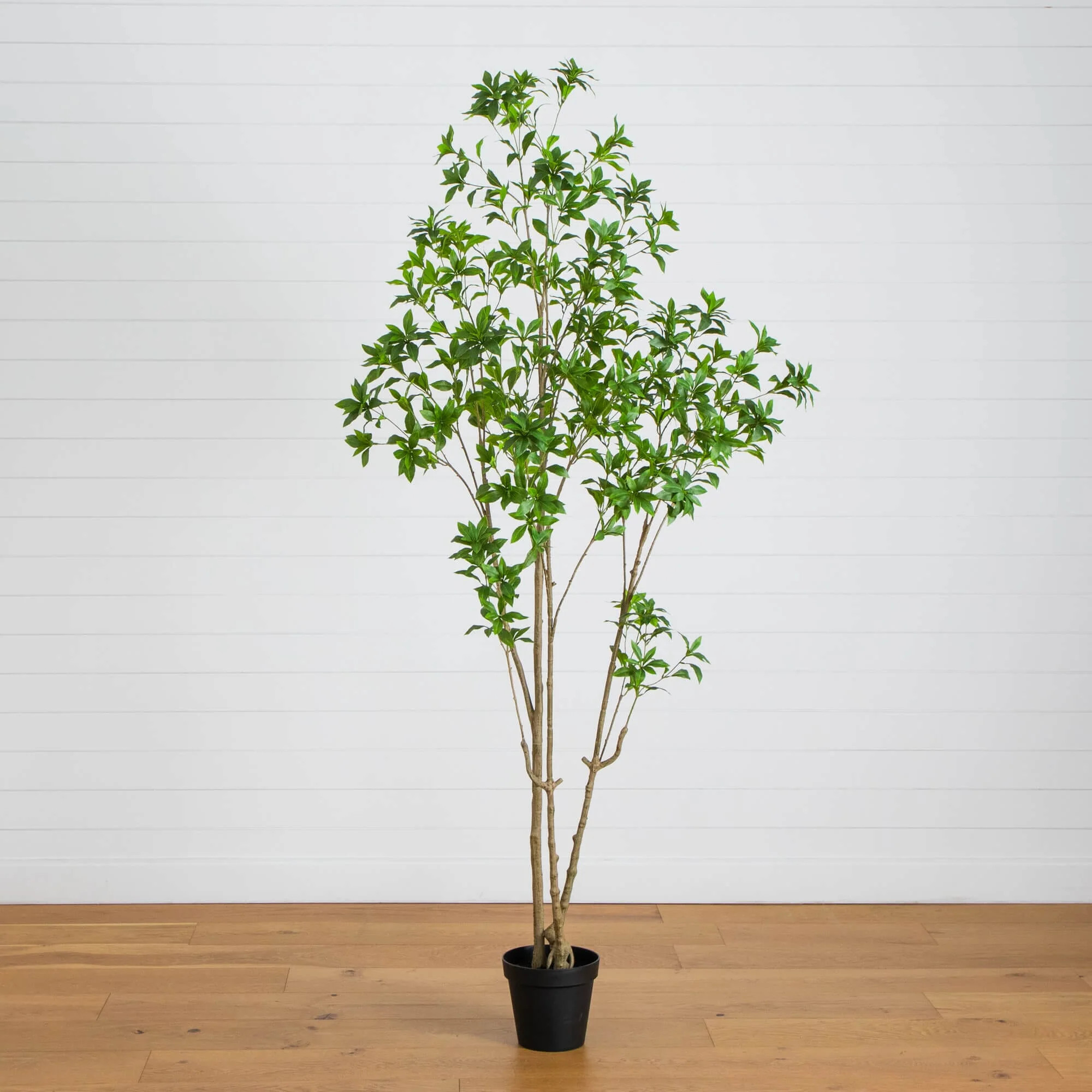 8' Artificial Minimalist Japanese Pieris Tree | Nearly Natural
