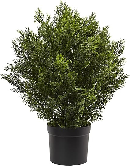 Nearly Natural 6880 2’ Cedar Artificial Bush (Indoor/Outdoor), Green | Amazon (US)